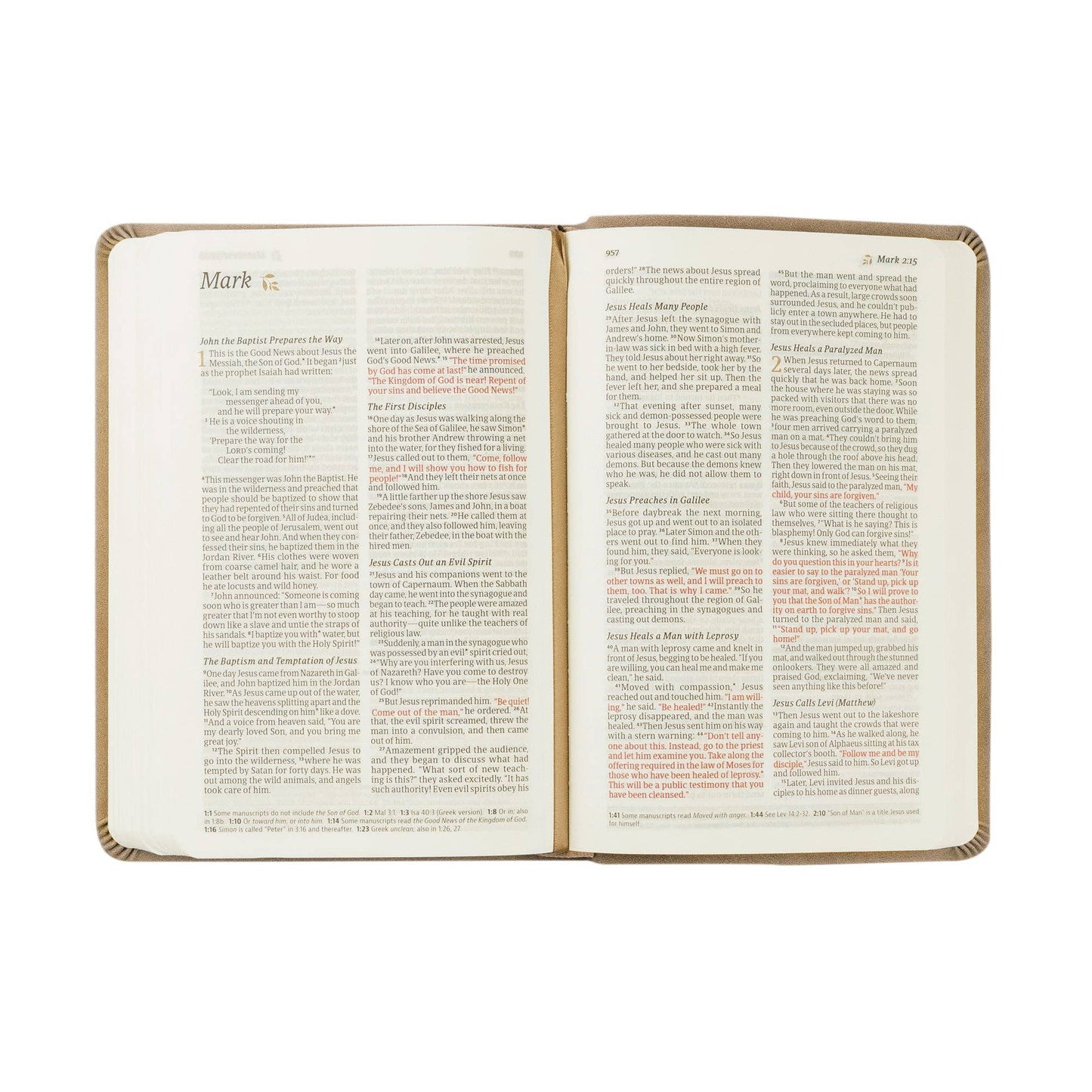 NLT Compact Bible