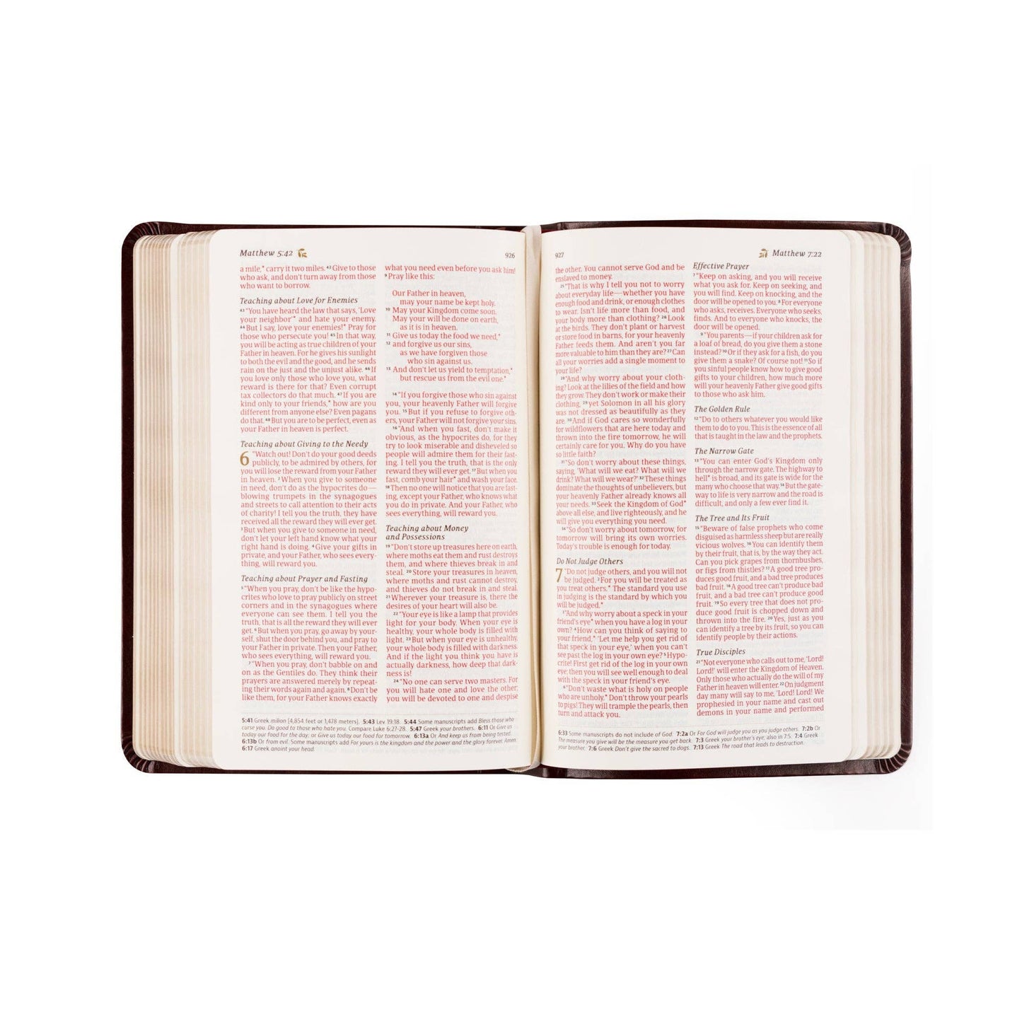 NLT Compact Bible
