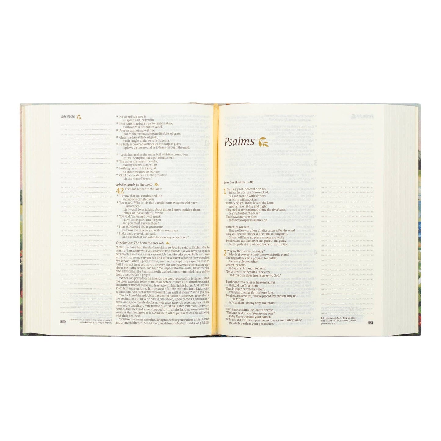NLT Notetaking Bible