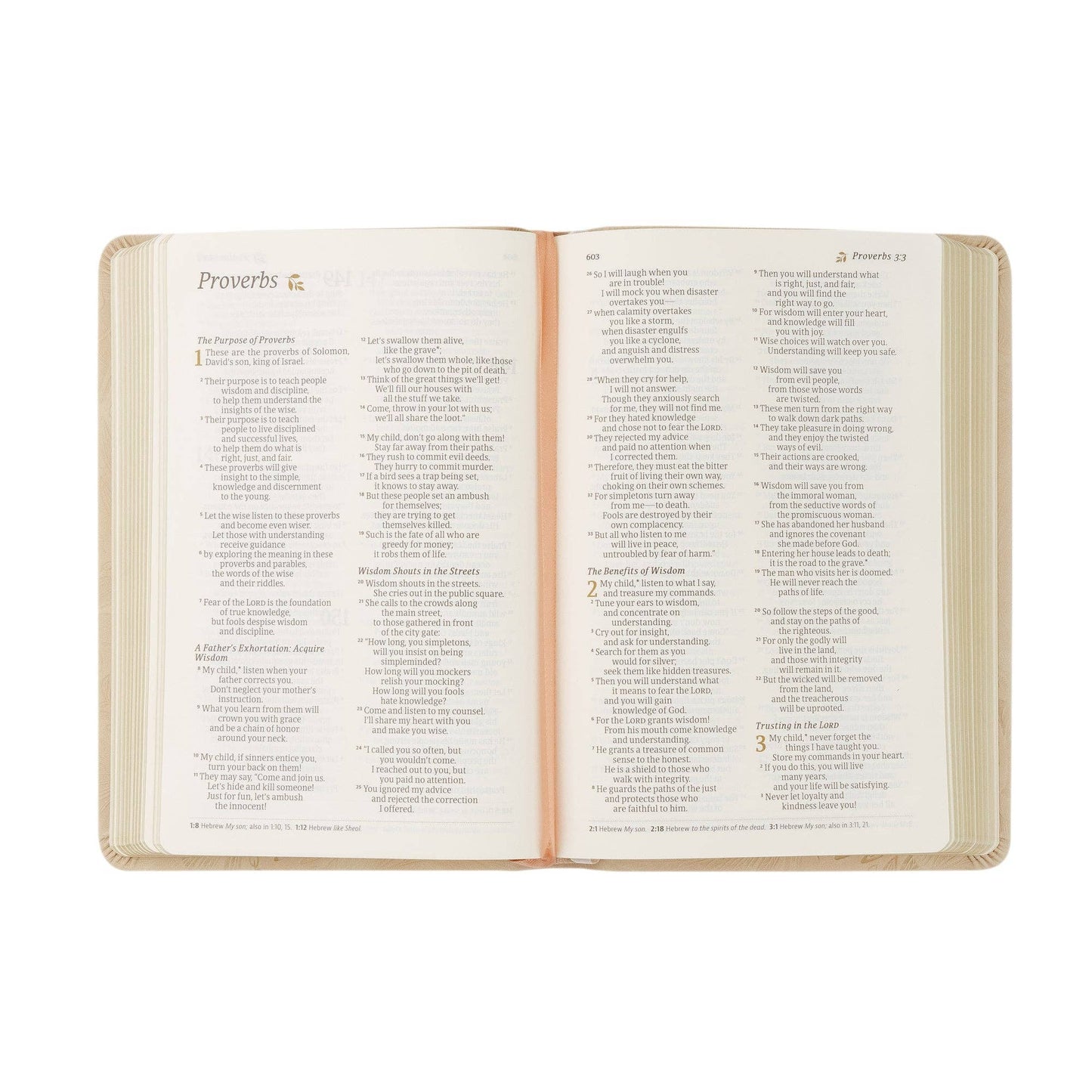 NLT Compact Bible