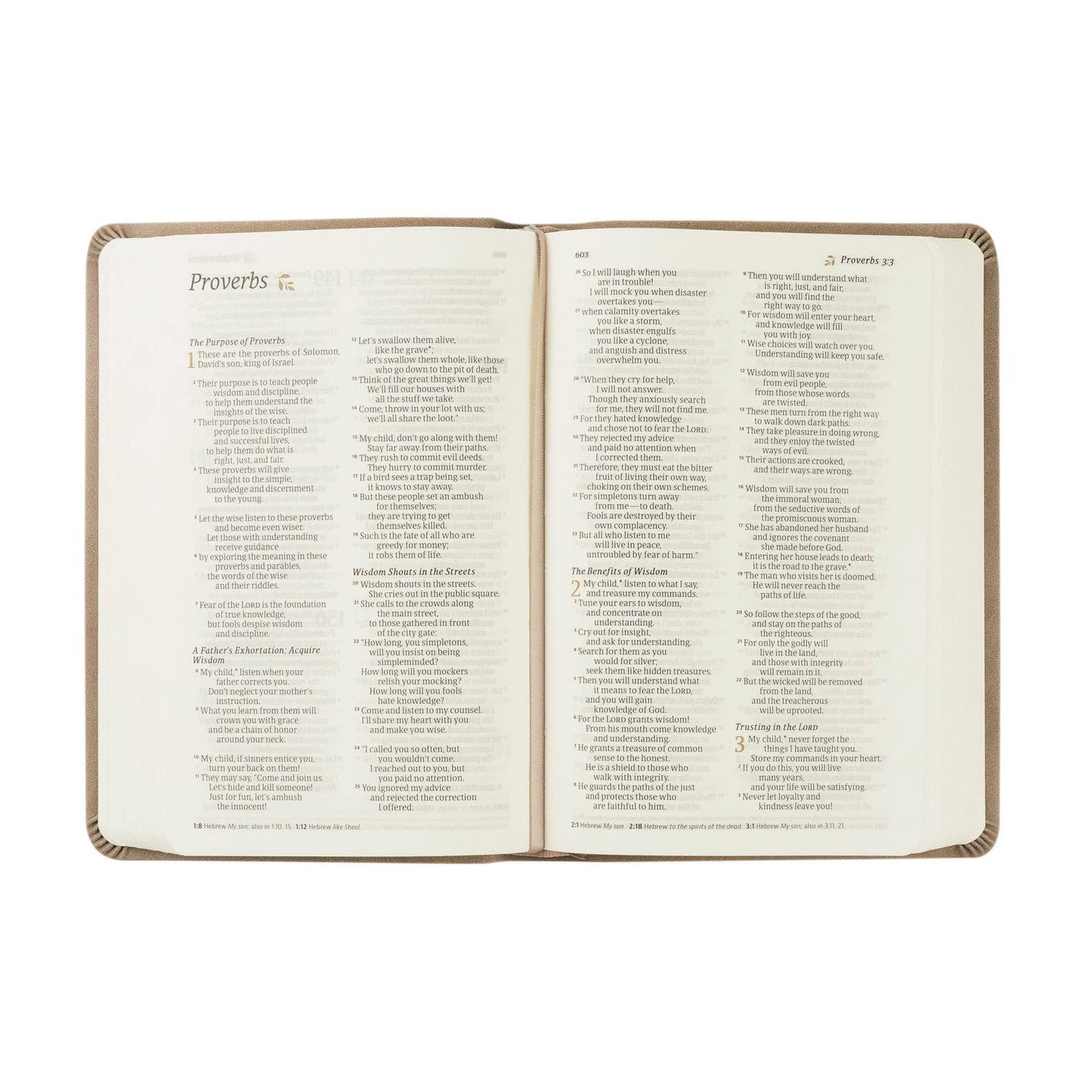 NLT Compact Bible