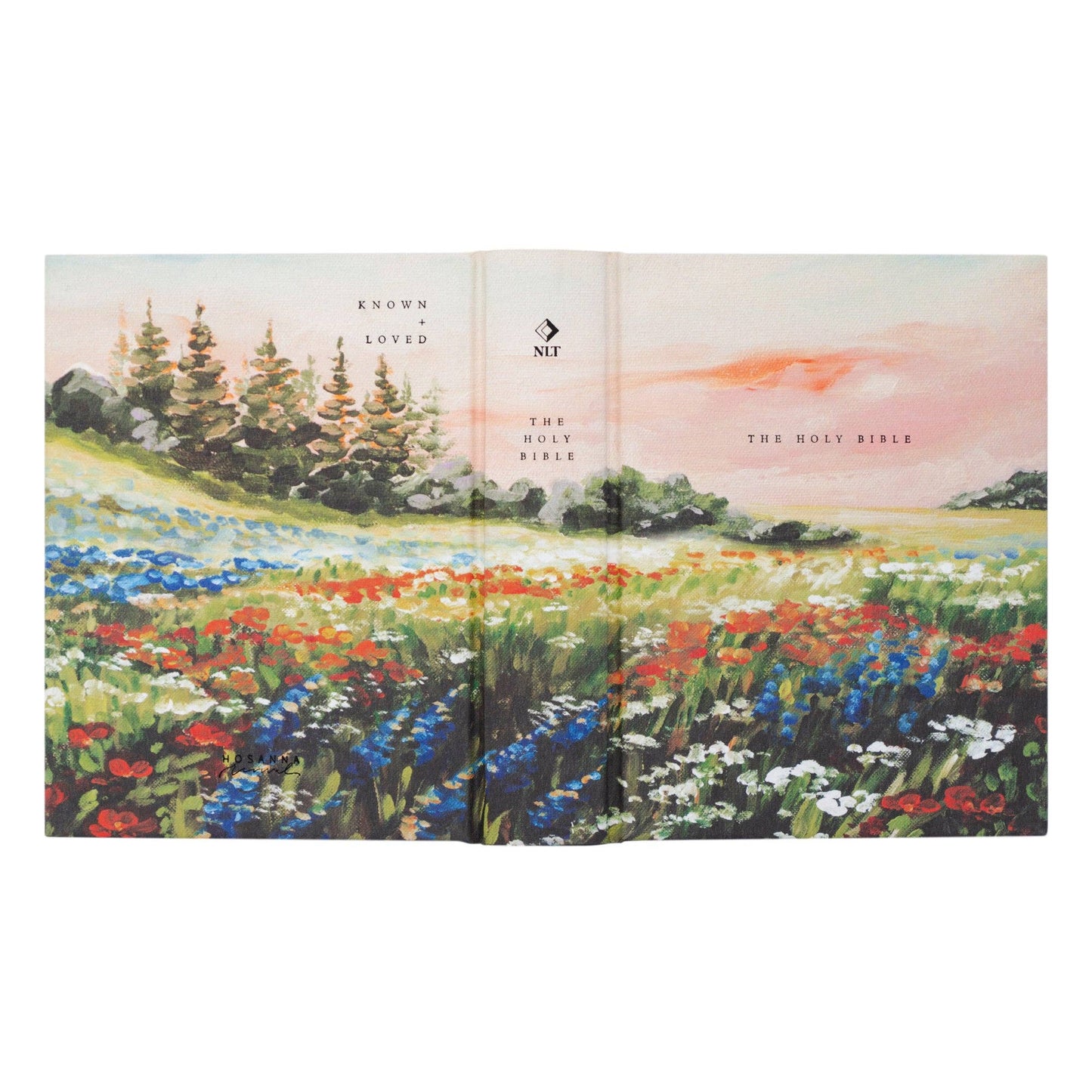 NLT Notetaking Bible