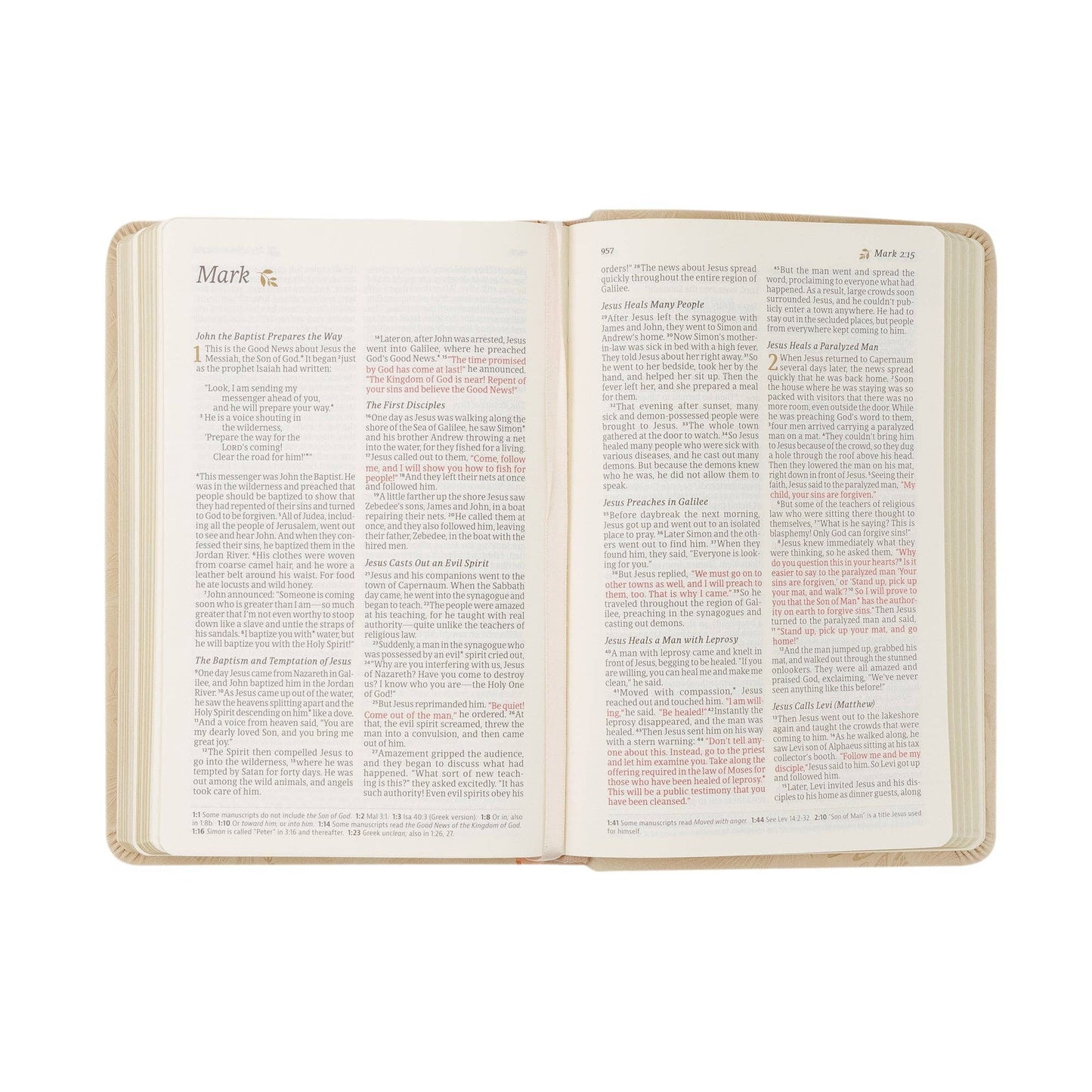 NLT Compact Bible