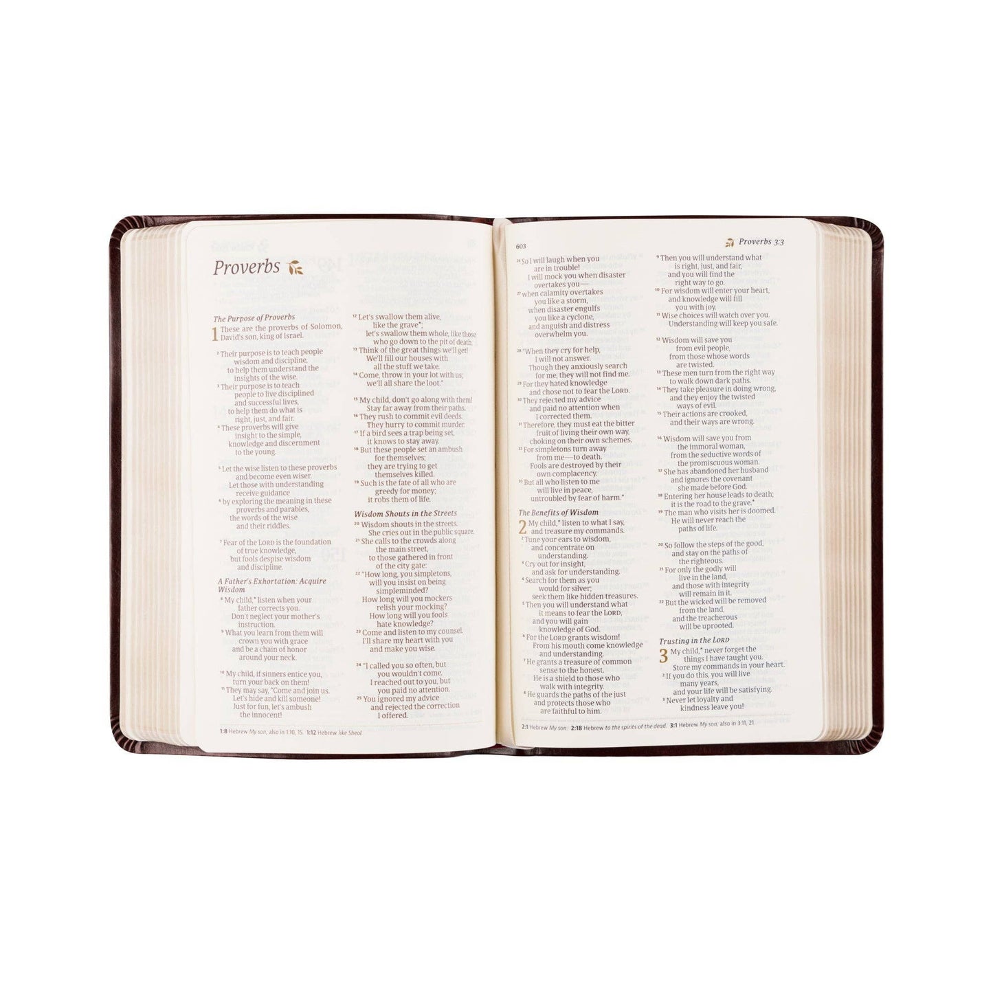 NLT Compact Bible