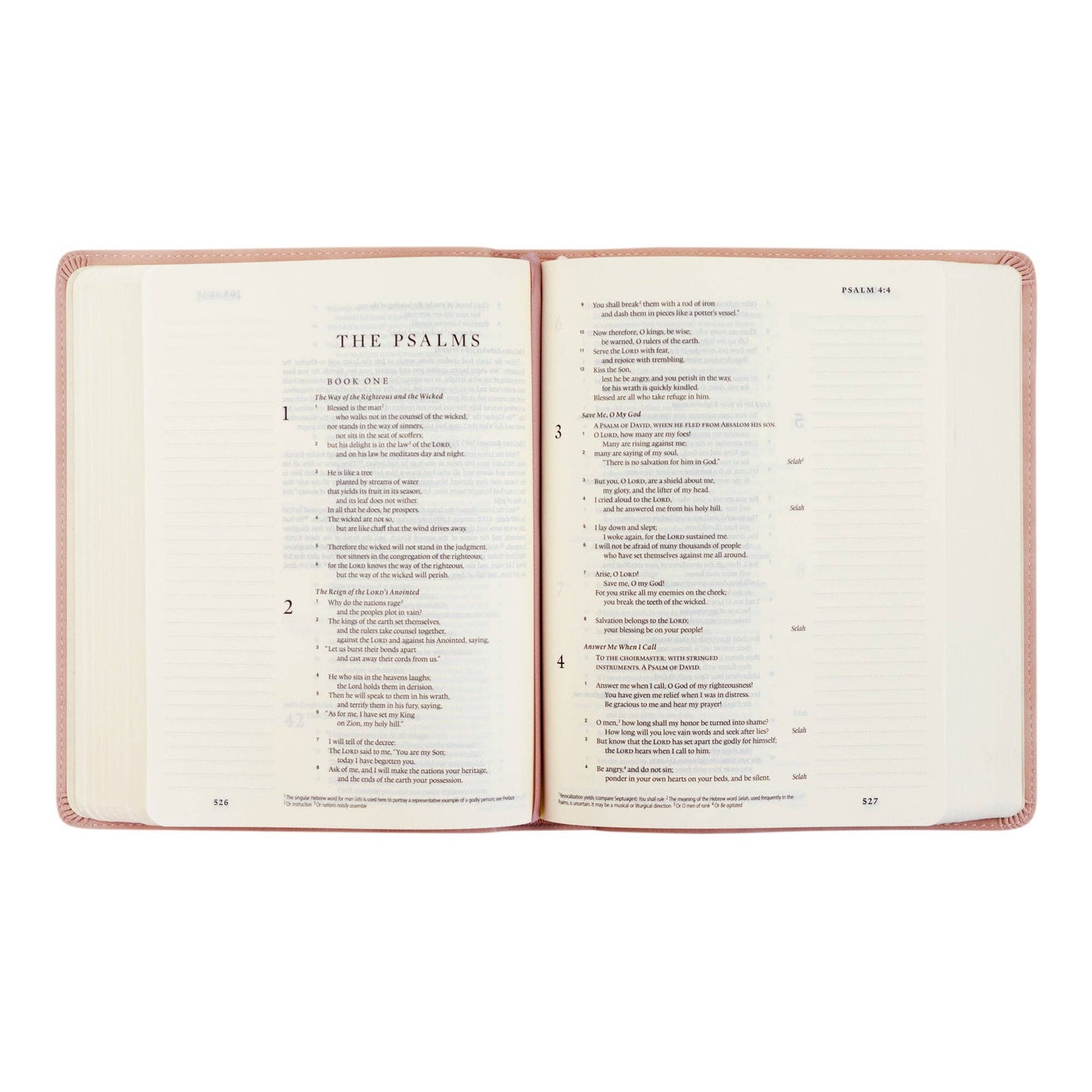 ESV Journaling Bible
